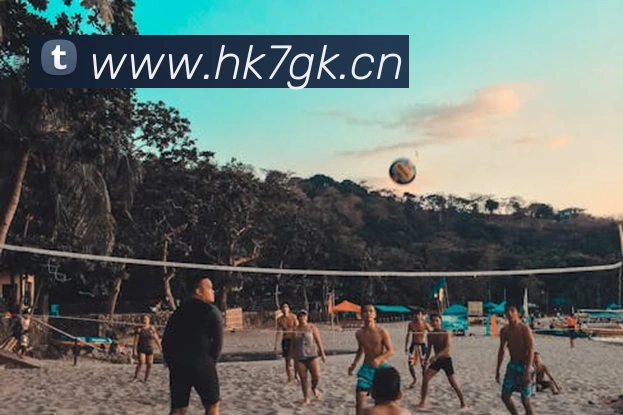 时博体育平台生态图